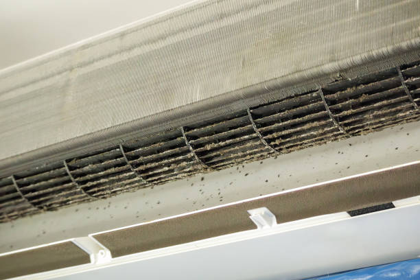 Best Affordable HVAC Duct Cleaning  in Mcconnell Af, KS